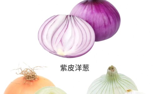 芝麻菌的功效网 | 芝麻菌的功效与作用及禁忌,芝麻菌的功效与禁忌